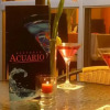 Отель Acuario Hotel & Suites, фото 15