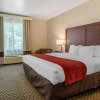 Отель Comfort Inn & Suites Galt - Lodi North, фото 3