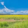 Отель Remodeled Kalispell Farmhouse w/ Mountain Views, фото 8