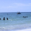 Отель The Anna Maria Island Beach Paradise 5, фото 50