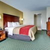 Отель Comfort Inn, фото 3