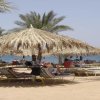 Отель Sharm Dreams Vacation Club	, фото 30
