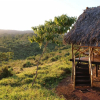 Отель Crater Forest Tented Camp, фото 4