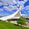 Отель Hôtels Gouverneur Montréal - Île Charron, фото 23