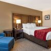 Отель Comfort Inn Williamsport, фото 12