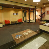 Отель Albergo Yuraku, фото 14