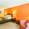 Отель Econo Lodge Inn & Suites, фото 19