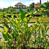 Отель Rendira Villa, фото 4