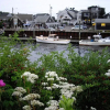 Отель Perkins' Cove Gem - Q934 Ocean view home with one bedroom loft in the heart of Perkins Cove 1 Condo , фото 9