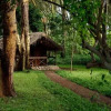Отель Migunga Tented Camp, фото 7