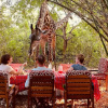 Отель Borabora Luxury Tented Camp, фото 28