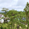 Отель The Umi Villa, фото 18