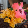 Отель Baoba Breeze Bed & Breakfast, фото 11