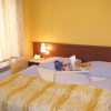 Отель Aparthotel Austria Suites, фото 6
