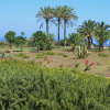 Отель Zubebi Resort, фото 14