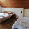Отель Rustic Argesean, фото 33