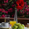Отель Effie Hotel, фото 8