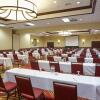 Отель Holiday Inn & Suites Chicago-Carol Stream (Wheaton), фото 44