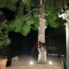 Отель Villa with 4 Bedrooms in Málaga, with Private Pool, Enclosed Garden And Wifi, фото 13