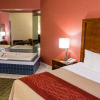 Отель Comfort Inn & Suites Jackson, фото 4
