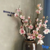 Отель Kyriad Hotel (Fuyang Funan International Automobile City), фото 9