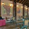 Отель Manyane Resort, фото 3