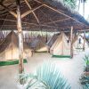 Отель Mad Monkey Hostel Nacpan Beach - Adults Only, фото 13