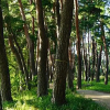 Отель Gangneung Bow The Way Guest House, фото 14