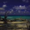 Отель The Flying Elephant Resort-Havelock Island, фото 12
