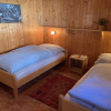 Отель Apartment Iris Lenk, фото 4