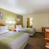 Отель Motel 6-Livingston, TX, фото 5
