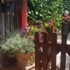 Отель B&B Girasole в Коллеферро