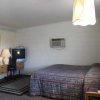 Отель Thunderbird Motel, фото 7
