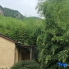 Отель Suxin Xiaozhu Inn, фото 15