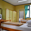 Отель Palace Hotel Cipanas, фото 2