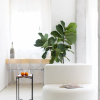 Отель Home2Book Design Diamond Estudio Santa Cruz, фото 16