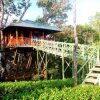 Отель Treehouse With Wi-Fi In Munnar, By Guesthouser 10760, фото 12