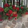 Отель Detached villa, private pool only 10 minutes to beaches, фото 19