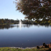 Отель Sherwood Forest RV Resort, фото 9