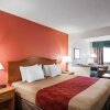 Отель Econo Lodge Inn & Suites, фото 22