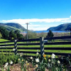 Отель Loch Sloy Farmstay, фото 33