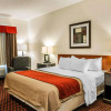 Отель Comfort Inn Avon-Indianapolis West, фото 6
