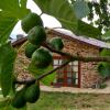 Отель Benaxo - Casa de Turismo Rural, фото 12