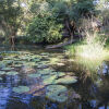 Отель Camp Nkwazi, фото 12