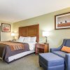 Отель Comfort Inn & Suites Black River Falls I-94, фото 4