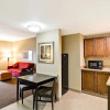 Отель Hampton Inn & Suites Tampa Northwest/Oldsmar, фото 33
