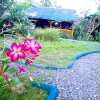 Отель Moalboal Bamboo House / Rooms, фото 39