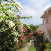 Отель Studio in Sainte Anne, With Wonderful Mountain View, Enclosed Garden a в Сент-Анне