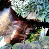 Отель Pousada Villa Harmonia, фото 30
