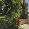 Отель Palm Garavan, фото 20